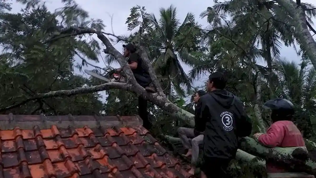 Cuaca Ekstrem di Cianjur, 3 Rumah Rusak Tertimpa Pohon, Penghuninya Berhasil Selamatkan Diri