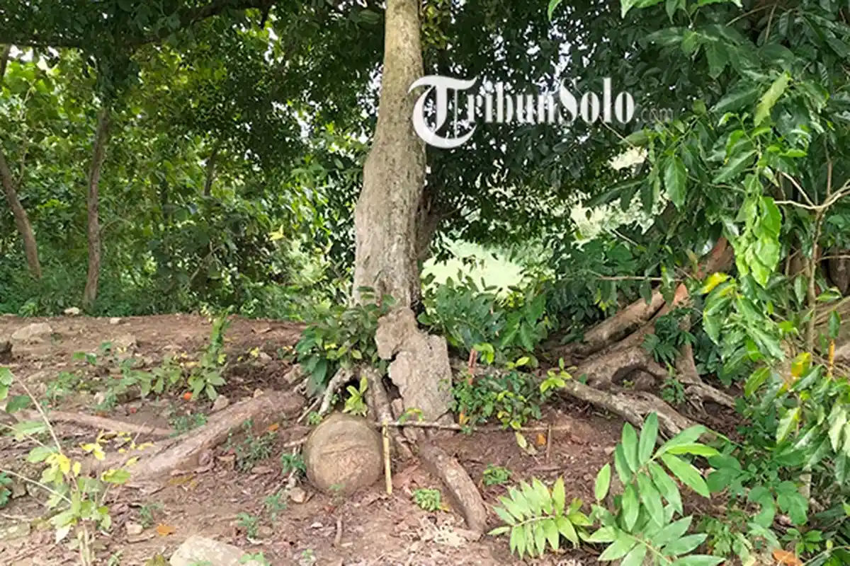 Mitos Dukuh Jenar Sragen, Warga Tak Berani Gelar Pertunjukan Wayang: Nekat Melanggar Petaka Datang