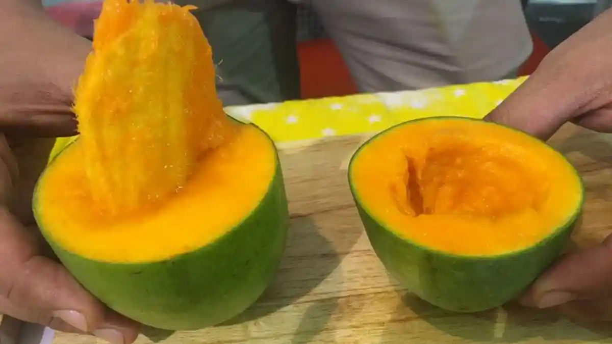 Apa Itu Mangga Alpukat dan Bagaimana Cara Makannya?