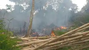 Semak-Belukar-Mulai-Terbakar-Warga-Lubuklinggau-Diimbau-Waspada-Karhutla-ini-Wilayah-Rawan.jpg