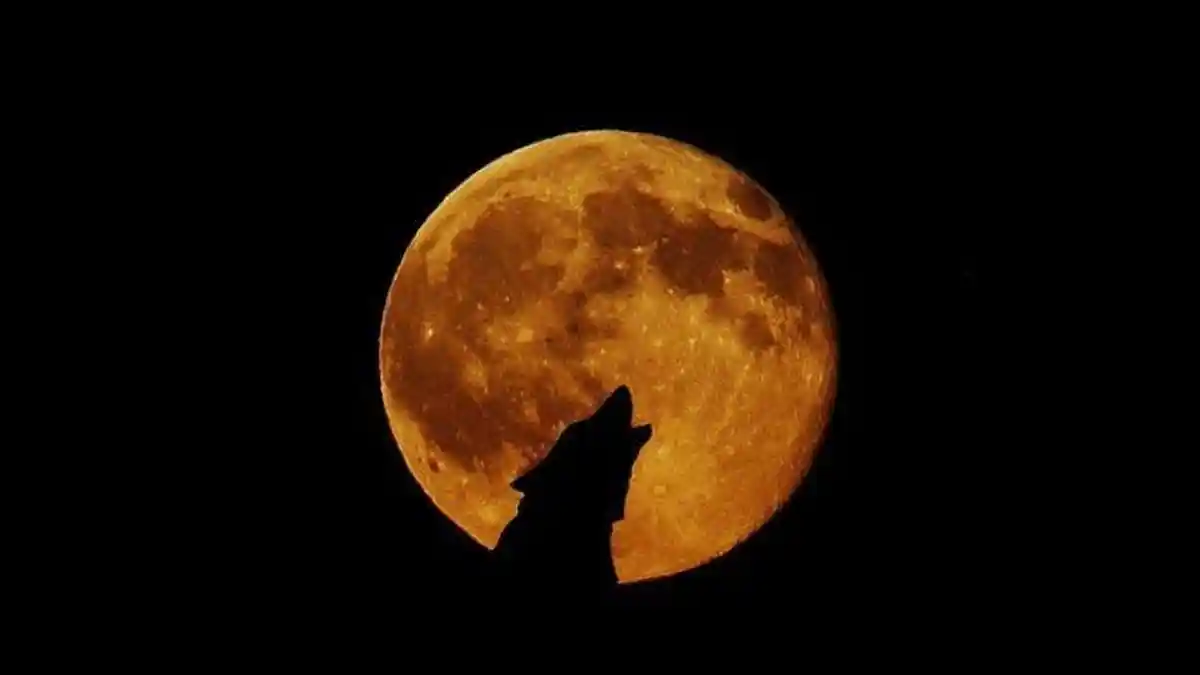 Cara Melihat Bulan Purnama Serigala 28 Januari 2021 hingga Kalender Bulan Purnama Tahun Ini