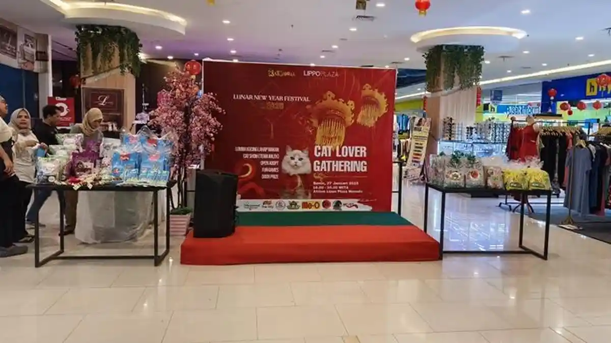 Festival Kucing di Manado: Perayaan Cinta dan Kehangatan untuk Si Manis Berbulu