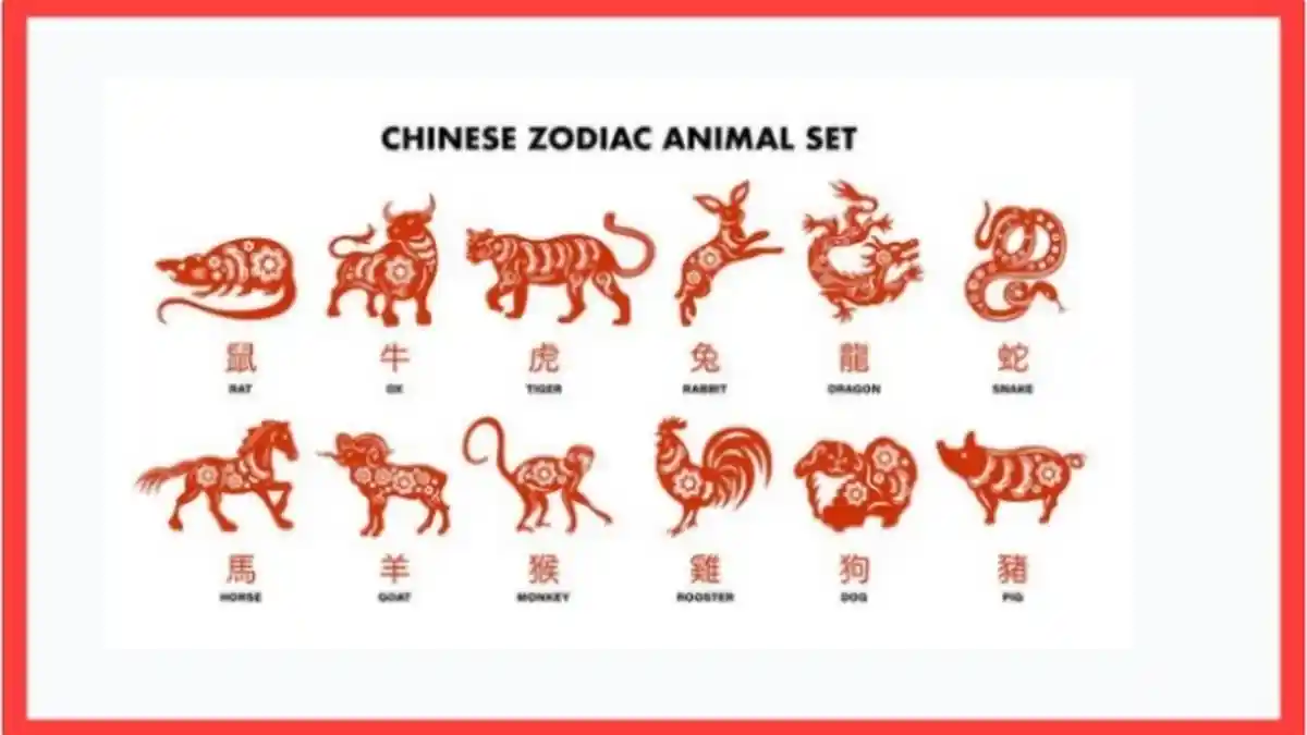 3 Shio Paling Sial Tahun 2022, Hindari Utang dan Pinjaman, Ada Seseorang Membawa Petaka