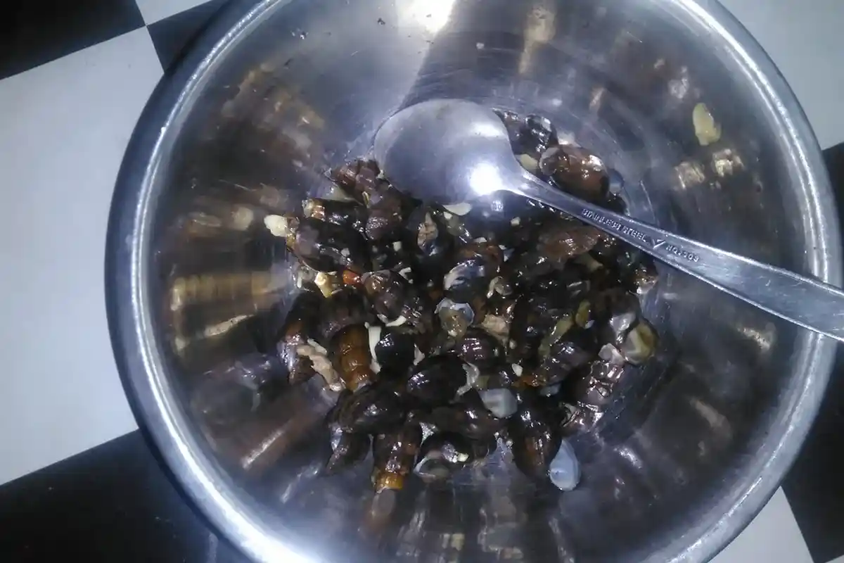 Cukup Sedot Kepalanya, Nikmati Kuyung Asem-asem, Santapan Sampingan Suku Anak Dalam