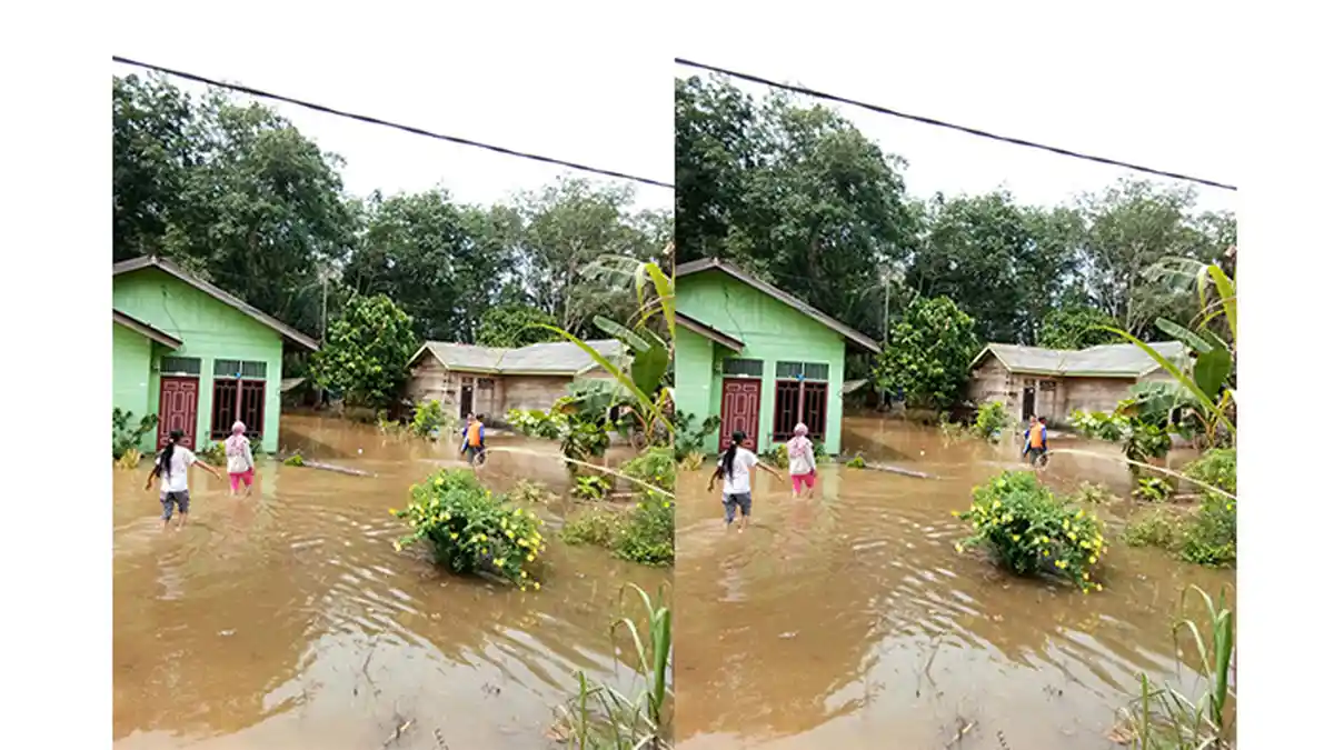 Banjir Surut, Begini Kondisi 312 Rumah di Batang Cenaku