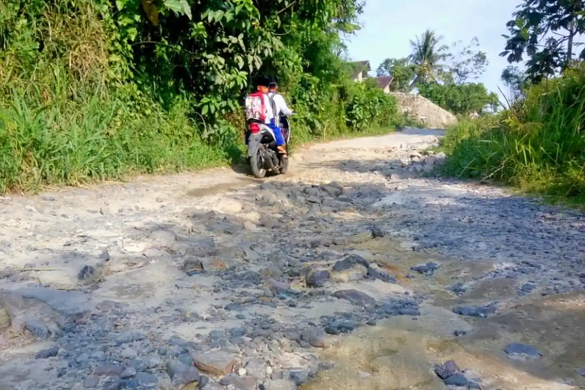 Warga Desa Kemukus Minta Pemkab Lamsel Segera Perbaiki Jalan Daerah yang Rusak Parah