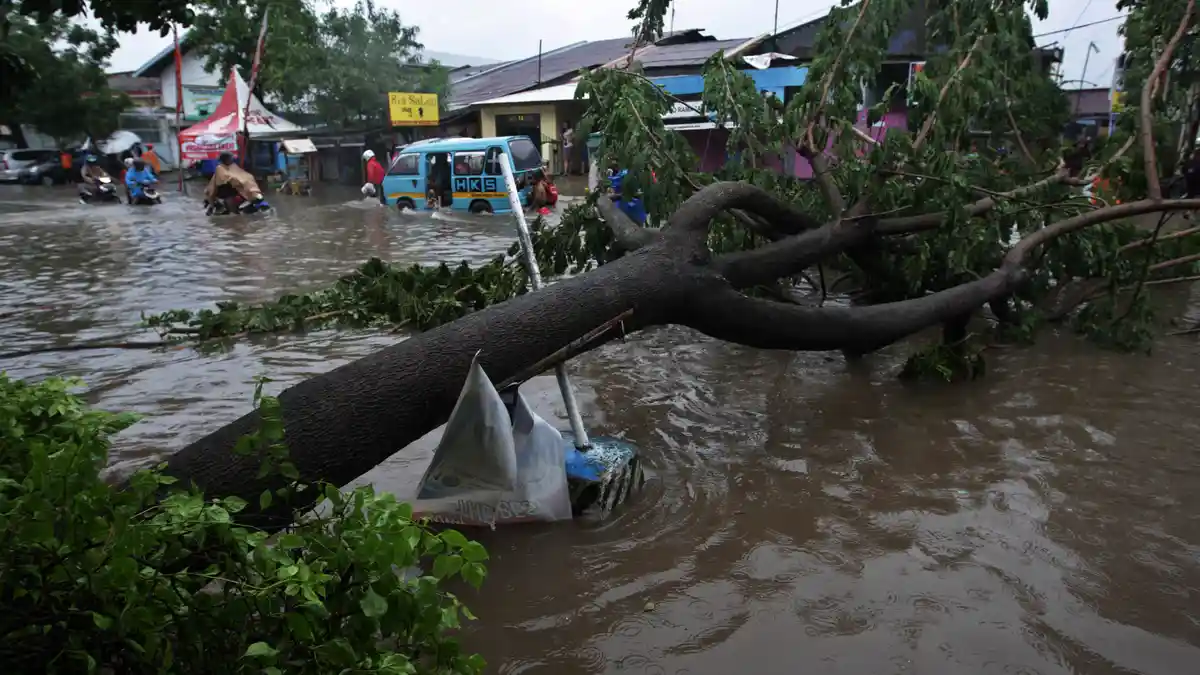 Pohon Tumbang di Rel Palmerah, Perjalanan KRL Serpong Terganggu