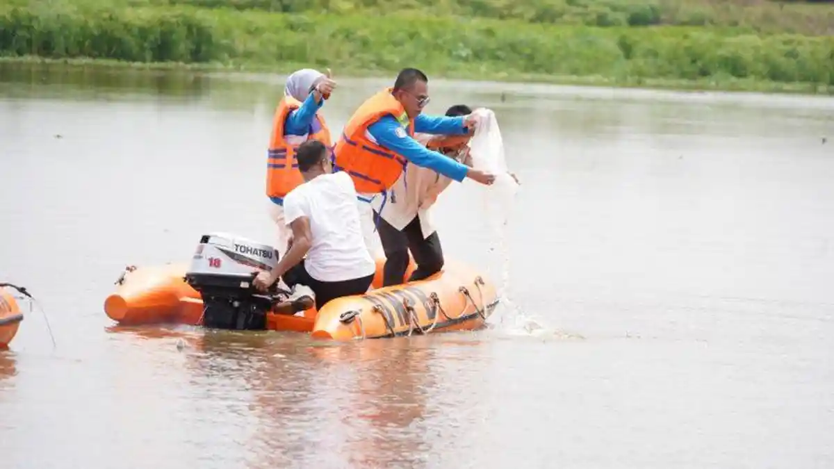 Pj Bupati Hani Syopiar Rustam Lepas 10 Ribu Bibit Ikan ke Sungai Boom