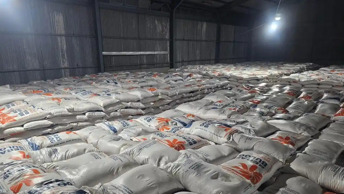 Cadangan Beras Bulog Sumsel Babel 2025 Lampaui Target, Tembus 141.321 Ton