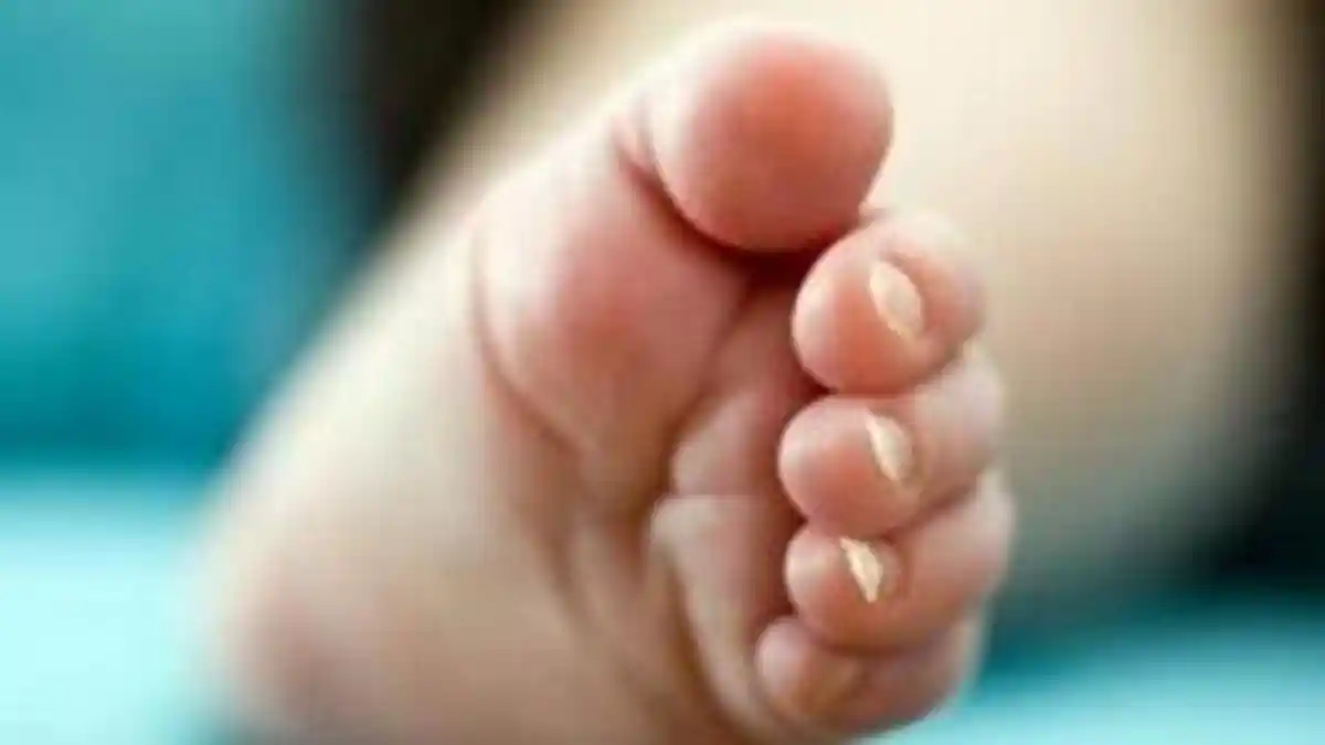 Gila, Sindikat Peternakan Bayi di Sri Lanka Terungkap