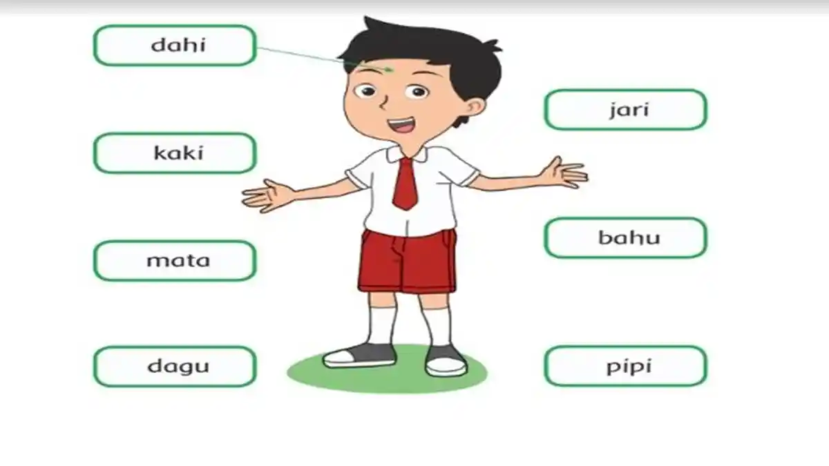 Soal dan Kunci Jawaban Buku Tematik Kelas 1 SD Halaman 37-43 Kurikulum 2013 Tema Diriku