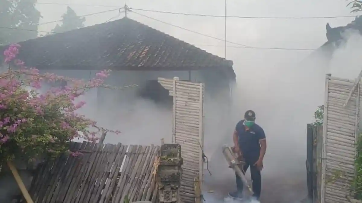 WASPADA Genangan Air Bersih, Tingkatkan PSN, Kasus DBD di Gumi Makepung Cenderung Menurun!