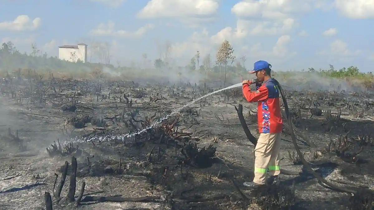 CUACA Sampit Kalteng, BPBD Kotawaringin Timur Masih Siaga Karhutla