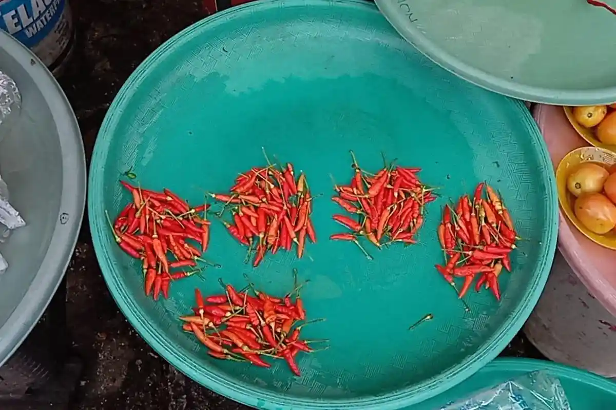 Makin Pedas! Harga Cabai Rawit di Pasar Langgur Malra Naik Tembus Rp 200 Ribu per Kg