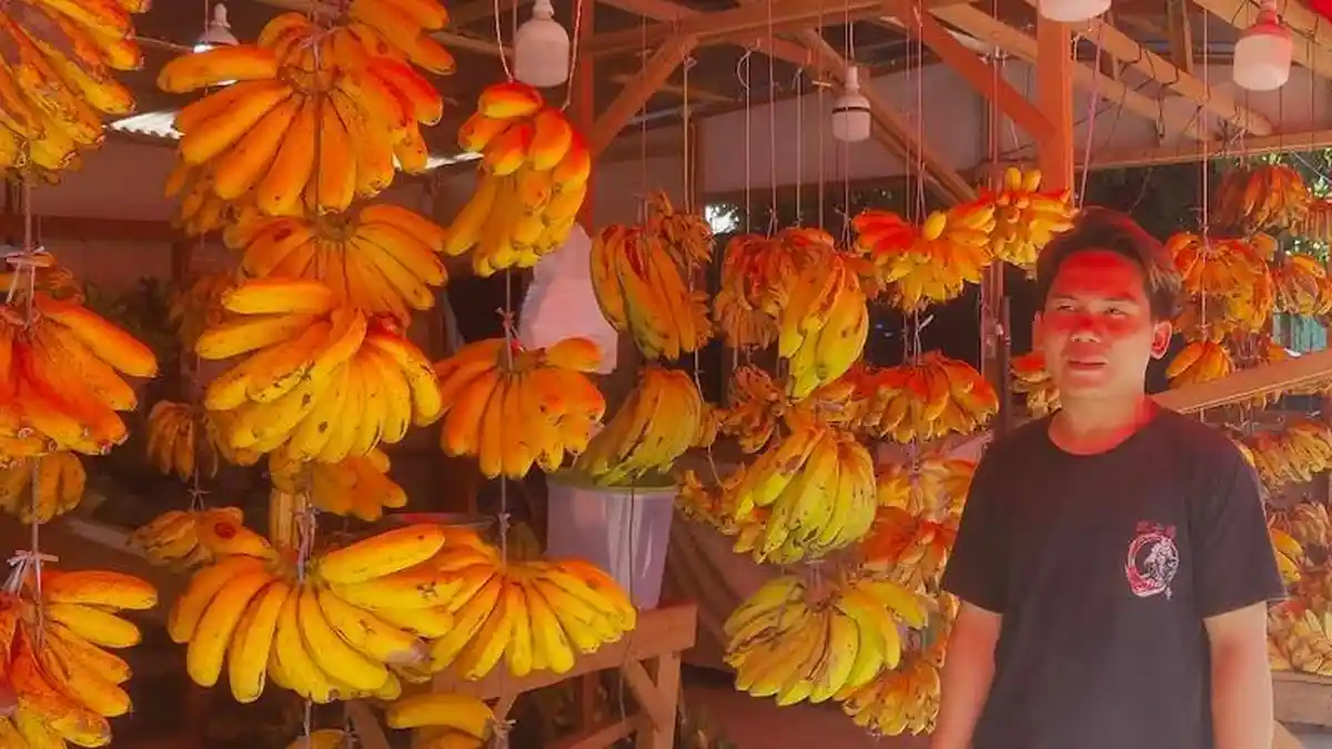 Cerita Aryo Ibrahim, Remaja Gorontalo Penjual Pisang demi Bantu Kebutuhan Adik dan Orang Tua