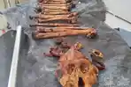 kerangka-tulang-di-Kotim-9-juni-2026.jpg