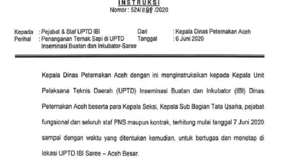 Heboh Sapi Kurus Kering, Kadisnak Instruksikan Kepala dan Seluruh Staf UPTD IBI Menetap di Saree