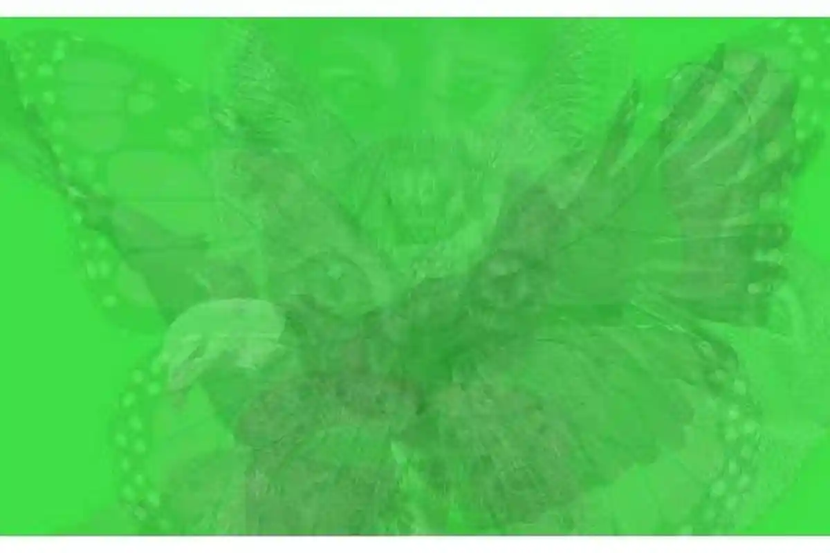 Tes Kepribadian - Apa Hewan yang Pertama Kali Kamu Lihat? Jawabannya Ungkap Sifatmu yang Tersembunyi