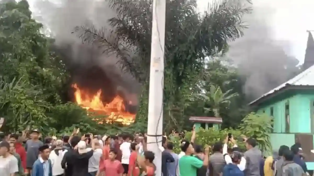 Serangan Harimau Kembali Terjadi, Warga Lampung Barat Bakar Kantor Resort TNBBS