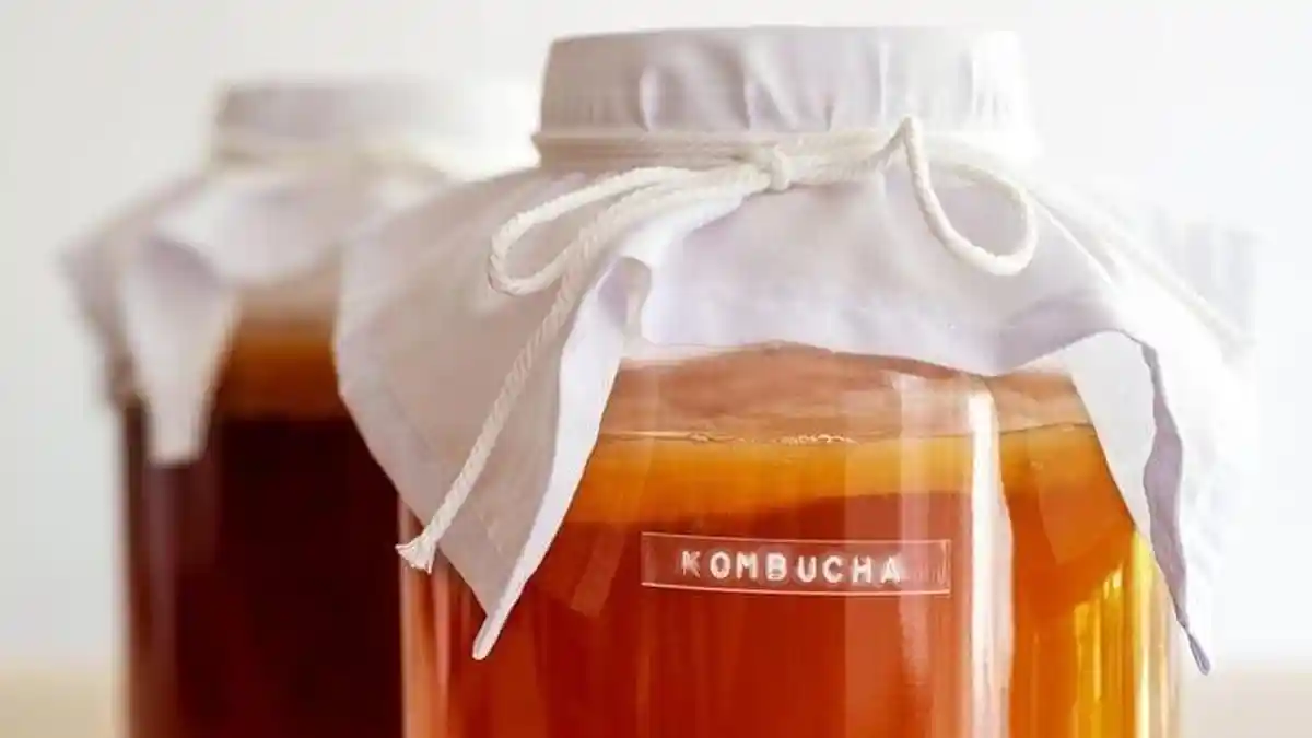 5 Manfaat Teh Kombucha Bagi Kesehatan Tubuh