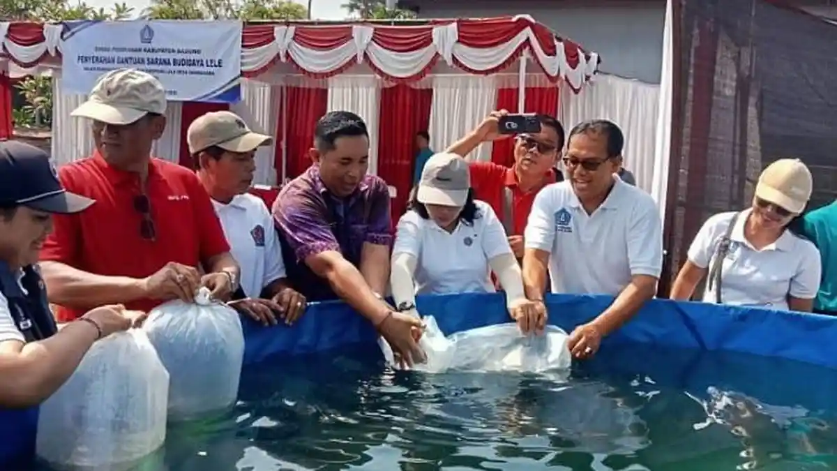 Bantuan Lele Darmasaba Diserahkan Ketua PKK Badung
