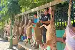 SaPA Sembelih 20 Ekor Domba Kurban dari Elmulk Service, Paket Daging Disalurkan ke Guru Aceh Besar