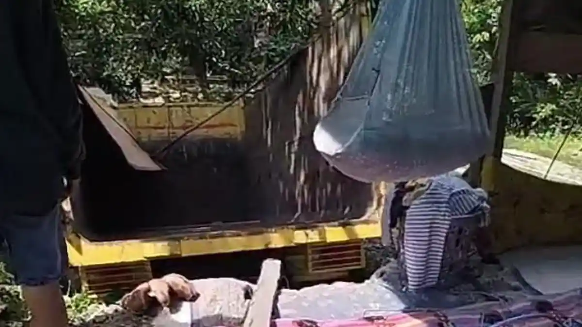 Truk Tabrak Rumah Warga di Kalukku Mamuju Gara-gara Sopir Hilang Kendali Saat Mau Ambil Makanan