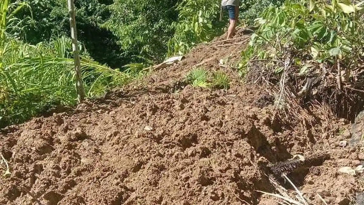 Dilanda Hujan Deras, Jalan Penghubung Dua Desa di Tabulahan Mamasa Tertutup Material Longsor