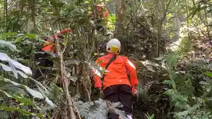Tim-SAR-gabungan-mencari-dua-warga-yang-dilaporkan-hilang-di-hutan-saat-mencari-kayu-bakar.jpg