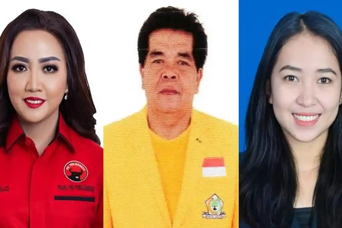 Daftar Caleg DPRD Provinsi Dapil Kalbar 5: Angeline Fremalco Pegang Rekor Peraih Suara Terbanyak