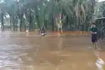 Penampakan-banjir-yang-merendam-pemukiman-warga-di-Silaut.jpg