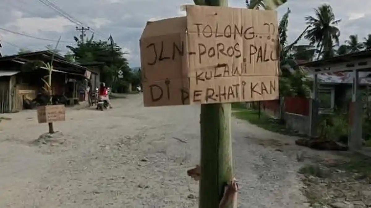 BREAKING NEWS: Jalan Rusak Parah, Warga Desa Kalawara Sigi Tanam Pisang di Jalan