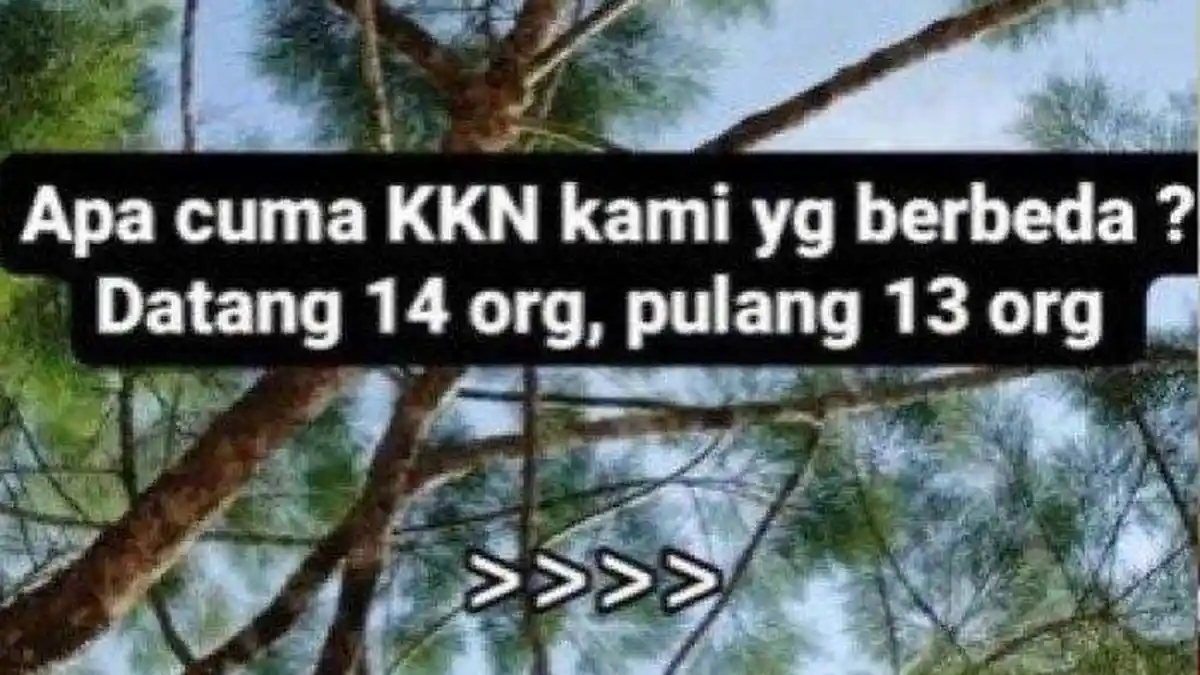 VIRAL Kisah Pilu Kelompok Mahasiswa KKN, Pergi 14 Orang, Pulang Bertiga Belas: di Sini Awal Mulanya