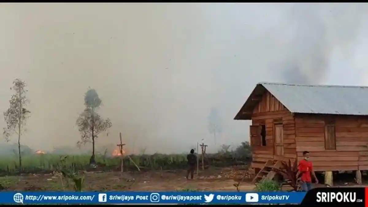 Karhuta di Bayunglencir Makin Meluas, Wanita dan Anak-anak Dievakuasi, Para Pria Bantu Padamkan Api