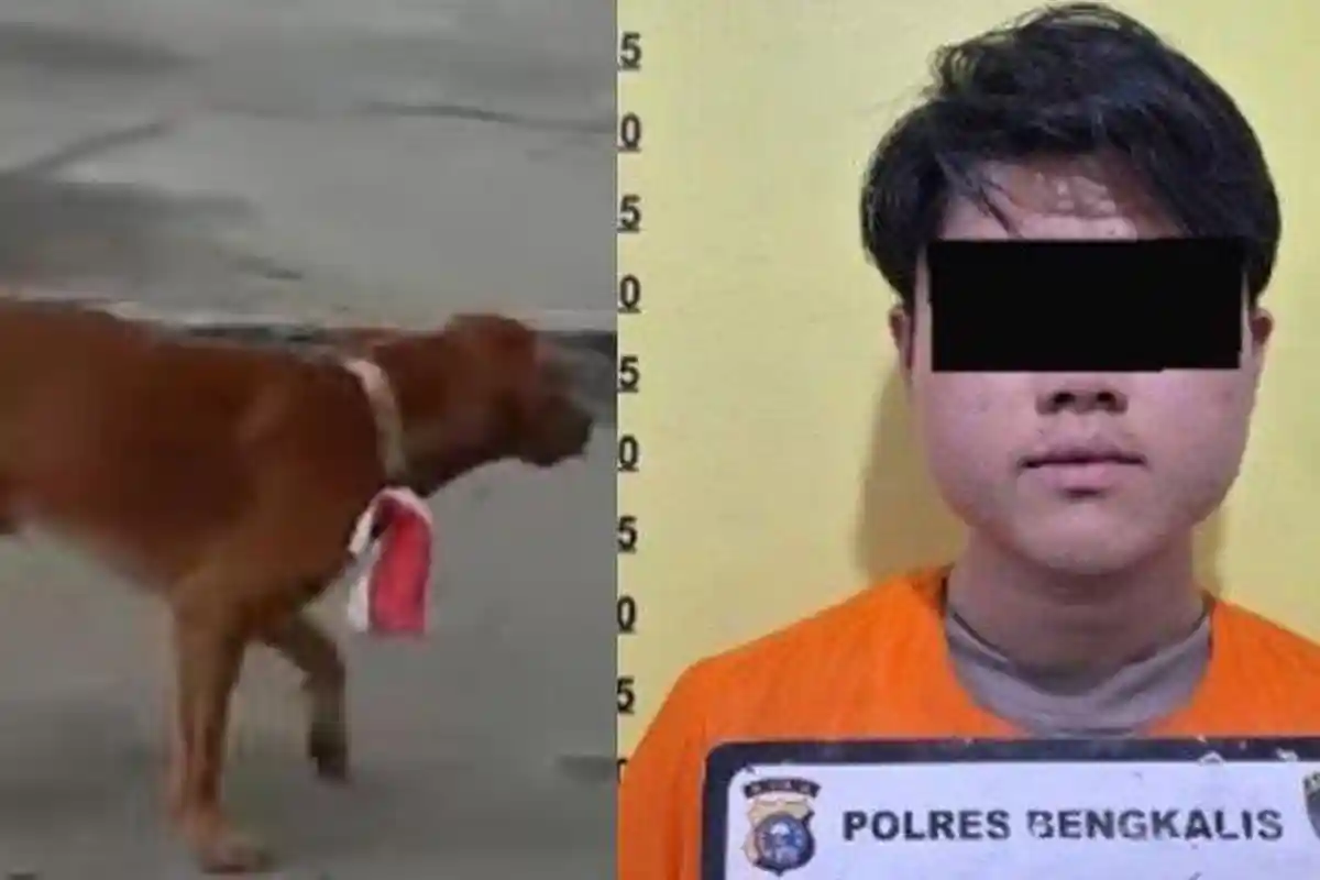 Seorang Pemuda di Riau Jadi Tersangka Lantaran Kalungkan Bendera Merah Putih ke Seekor Anjing