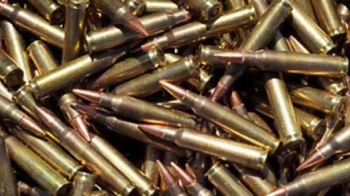 SOSOK ASN Pengkhianat Negara yang Pasok Amunisi KKB Papua, Jaringan Pembunuh Bripda Diego Rumaropen