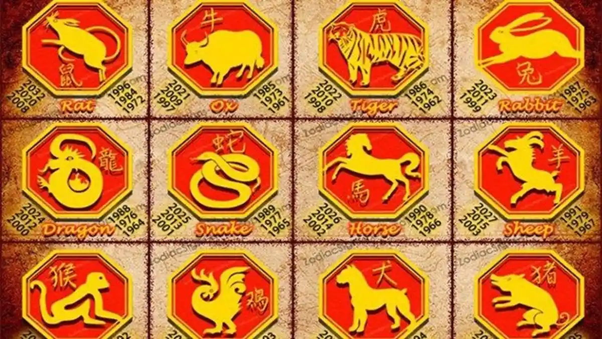 SHIO yang Diramalkan Bakal Hoki di Februari 2021