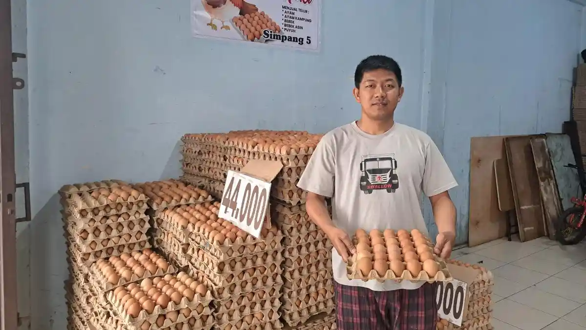 Harga Telur Ayam di Aceh Tengah Turun, Segini Harga Terbaru
