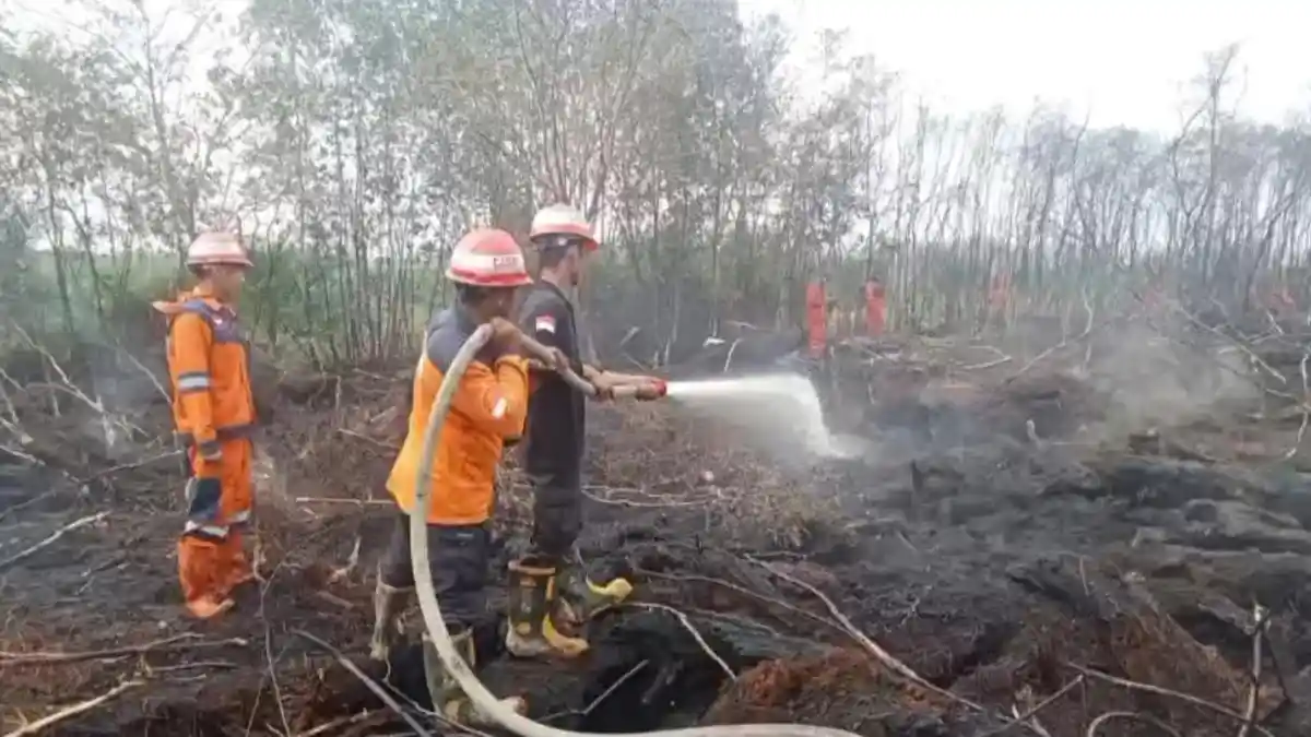 Karhutla Mulai Mengancam Kabupaten OKI Sumsel, 4 Hektare Lahan Terbakar Dalam Dua Hari - Sripoku.com