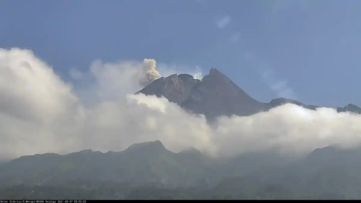 BREAKING NEWS : Gunung Merapi Luncurkan Awan Panas Guguran Sejauh 1,2 Km