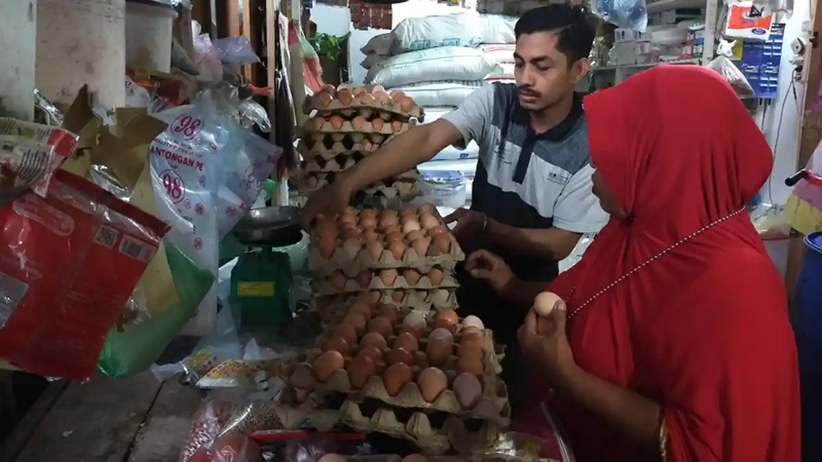 Harga Telur Ayam di Idi Rayeuk Naik Jadi Rp 45 Ribu Per Papan, Rp 6.000 Per 3 Butir, Ini Sebabnya