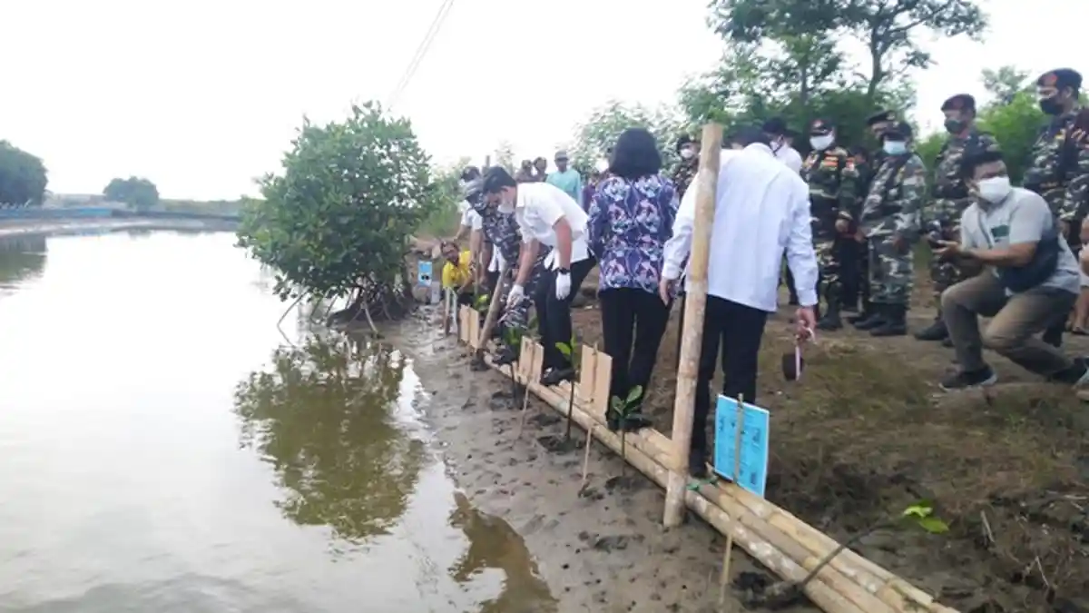 40 Persen Pantai di Kabupaten Kendal Terdampak Abrasi