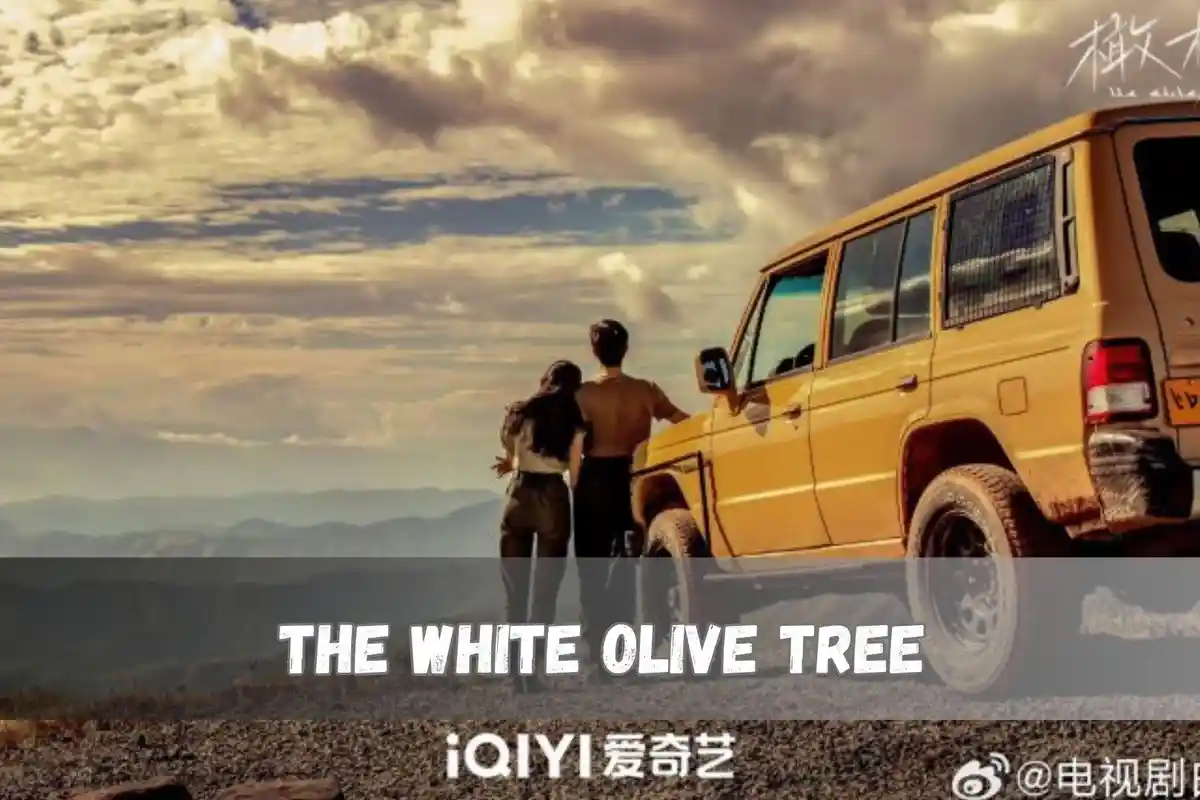 Sinopsis Drama China The White Olive Tree yang Dibintangi Chen Zhe Yuan dan Liang Jie
