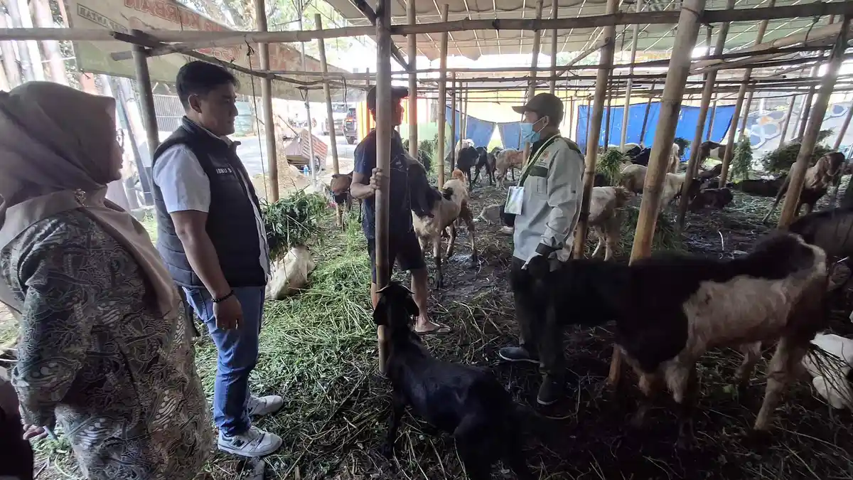 Dispertan Semarang Sidak ke Pedagang Hewan Kurban, Ini Temuannya