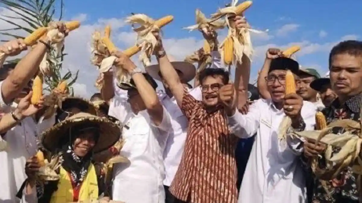 Kepmentan terkait Ganja, Tetap Mengacu UU Narkotika