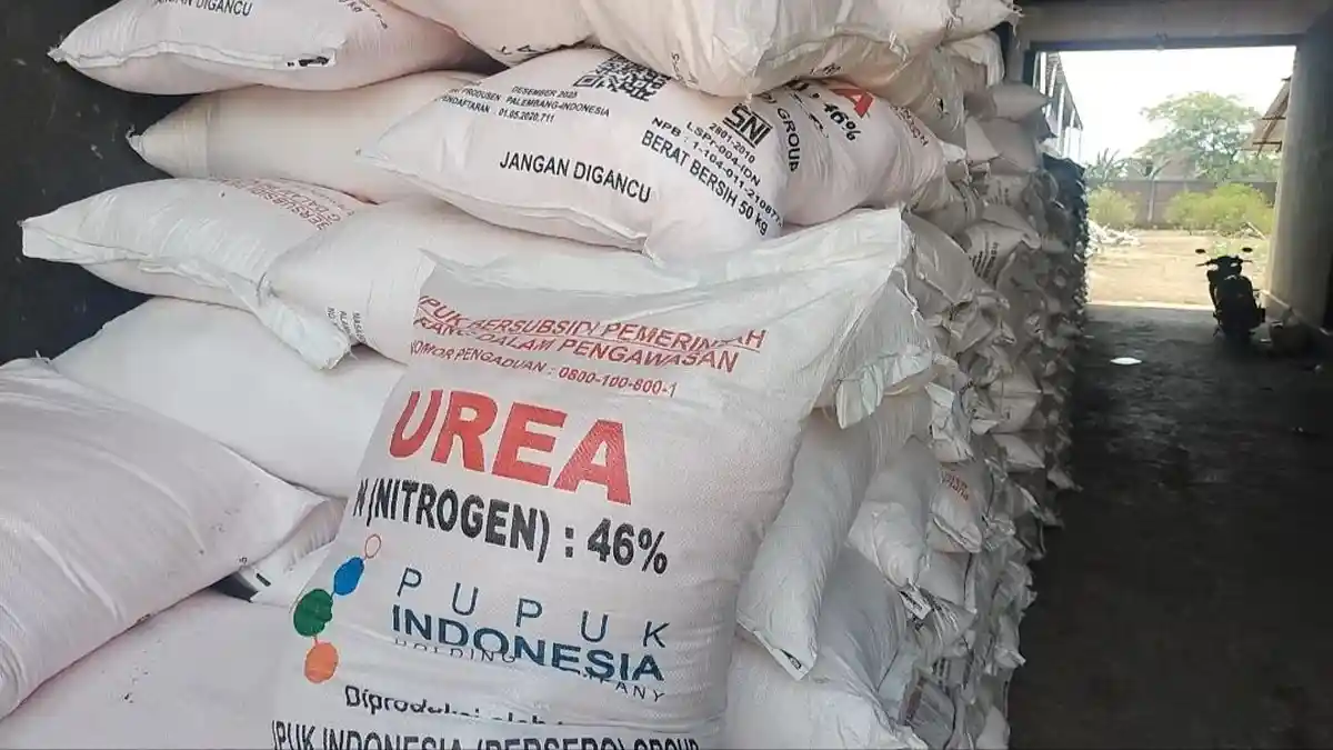 Cara Tebus Pupuk Subsidi dan Pestisida Subsidi, Hanya Perlu Bawa KTP