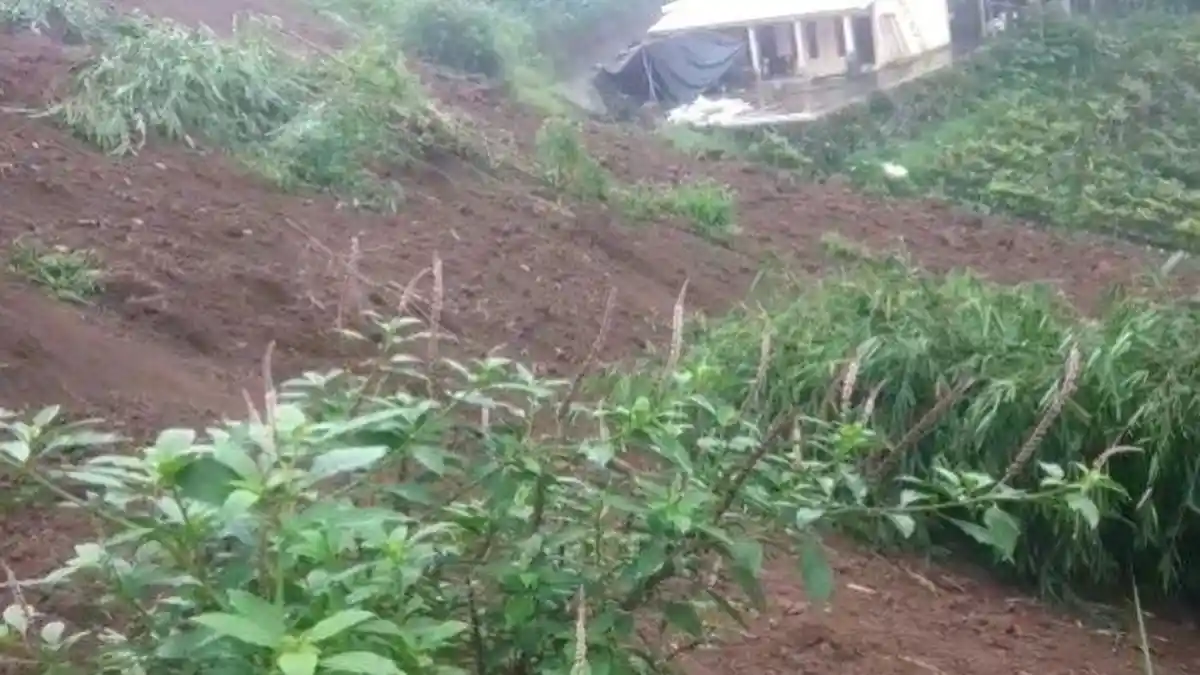 Tebing Setinggi 40 Meter di Beji Banjarnegara Longsor Hingga Menutup Akses ke Dieng