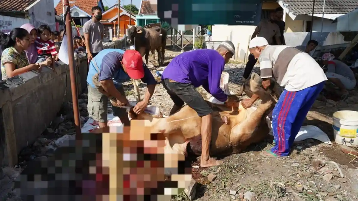 Pemkab Batang Dorong Juleha Punya Sertifikasi