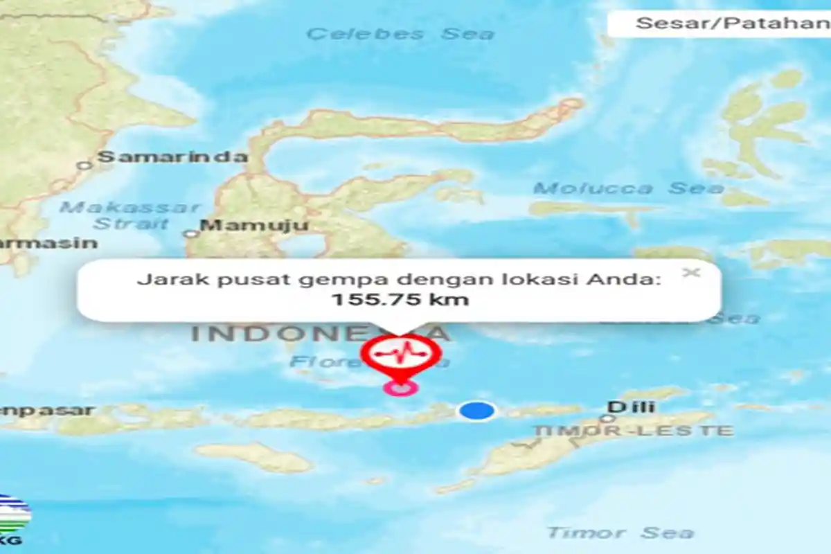 Gempa Guncang Flores M 7,4 Sampai Bikin Warga Panik Takut Tsunami, Ini Penyebabnya Menurut BMKG