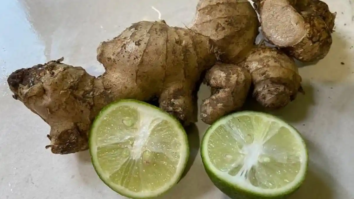 Daftar Manfaat Jahe bagi Anak-anak